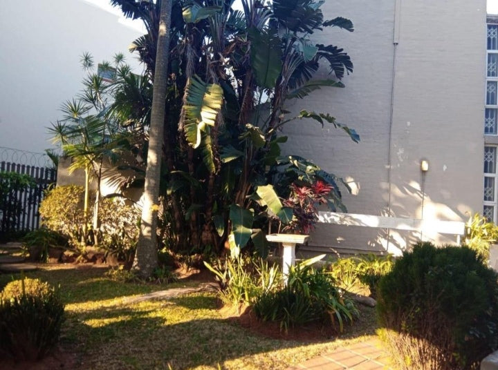 Flat To Rent In Durban central