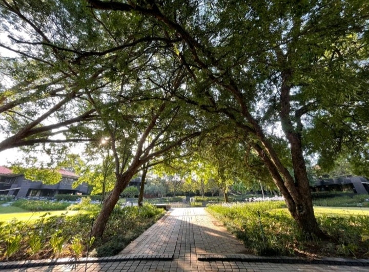 Per Night Black Brick Bedfordview Aparthotel