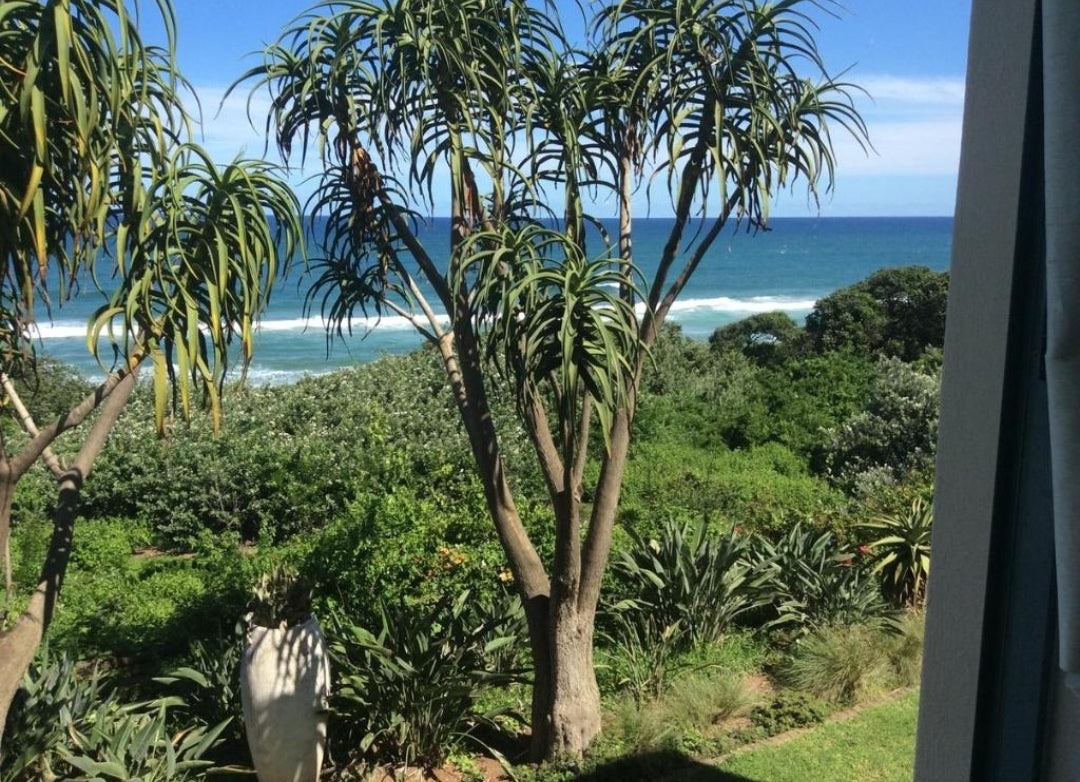 Per Night Misty Blue Bed and Breakfast